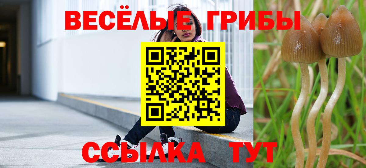 Галлюциногенные грибы GOLDEN TEACHER  Галлюциногенные грибы GOLDEN TEACHER  Вход с VPN  Вязники 